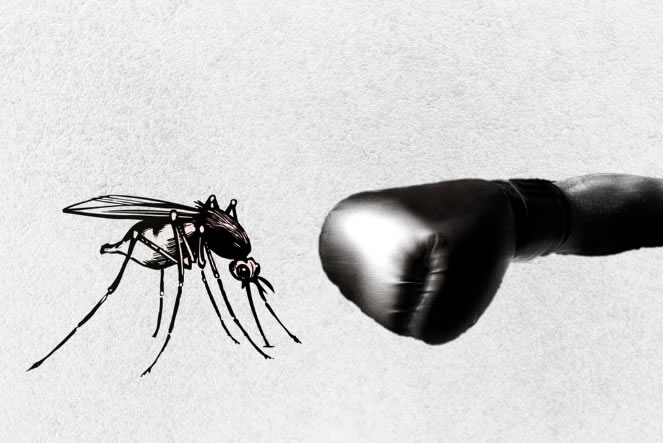 Mosquito gene-editing: can it wipe out malaria?